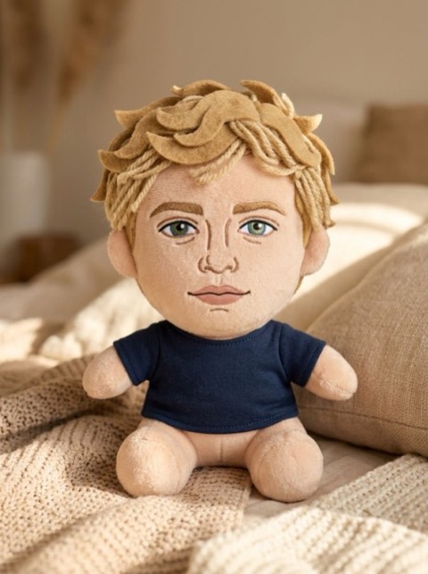 Plush Toy style generated from a photo with PicToon